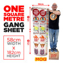 Custom DTF Heat Transfers Gang Sheet - Extra Sheets